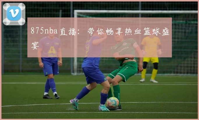 875nba直播:带你畅享热血篮球盛宴